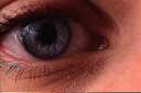 eye