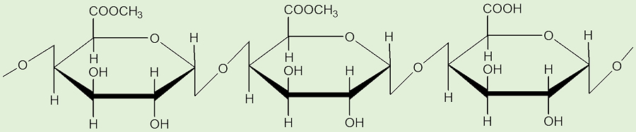 Pectin