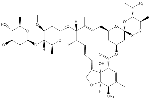 The avermectins the avermectins