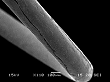 Re filament