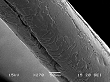 Re filament