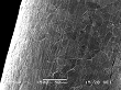 Ta filament