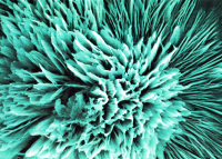Carbon Nanoflower