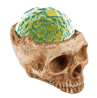Diamond 'brain'