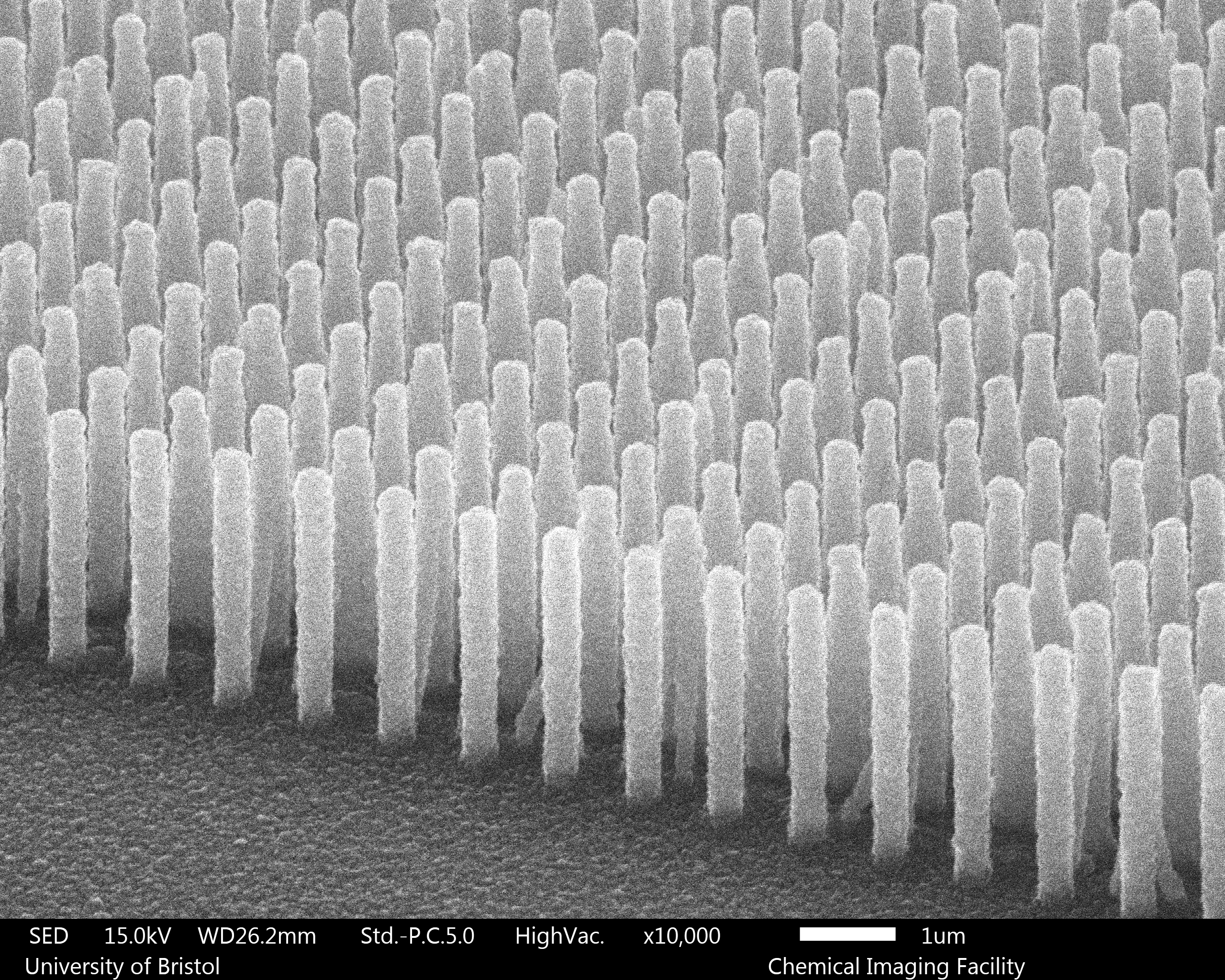 Nanopatterned diamond columns