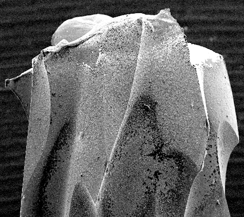 Diamond-coated drillbit