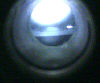 50%CO2/50%CH4 plasma