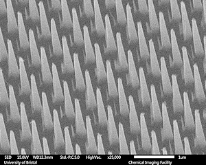 Diamond Electrochemistry