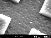 patterned ta-C