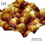 afm image