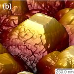 afm image