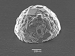 Diamond ball