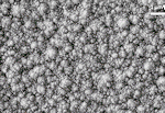 cauliflower film