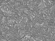 Feather like nano film