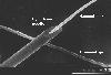 diamond wire and hypodermic needle