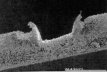 laser-cut fibre
