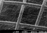 2D mesh