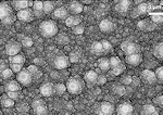 cauliflower diamond film