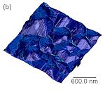 afm image