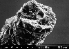 Tyranno fibre end
