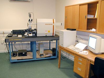 Raman system Raman system