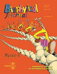 Biophysical Journal cover - click to enlarge Biophysical Journal cover