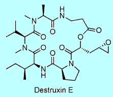 Destruxin E