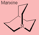 Manxine